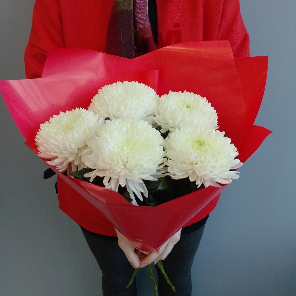 Хризантема Антонов 5 шт в крафте Хризантема Антонов 5 шт в крафте