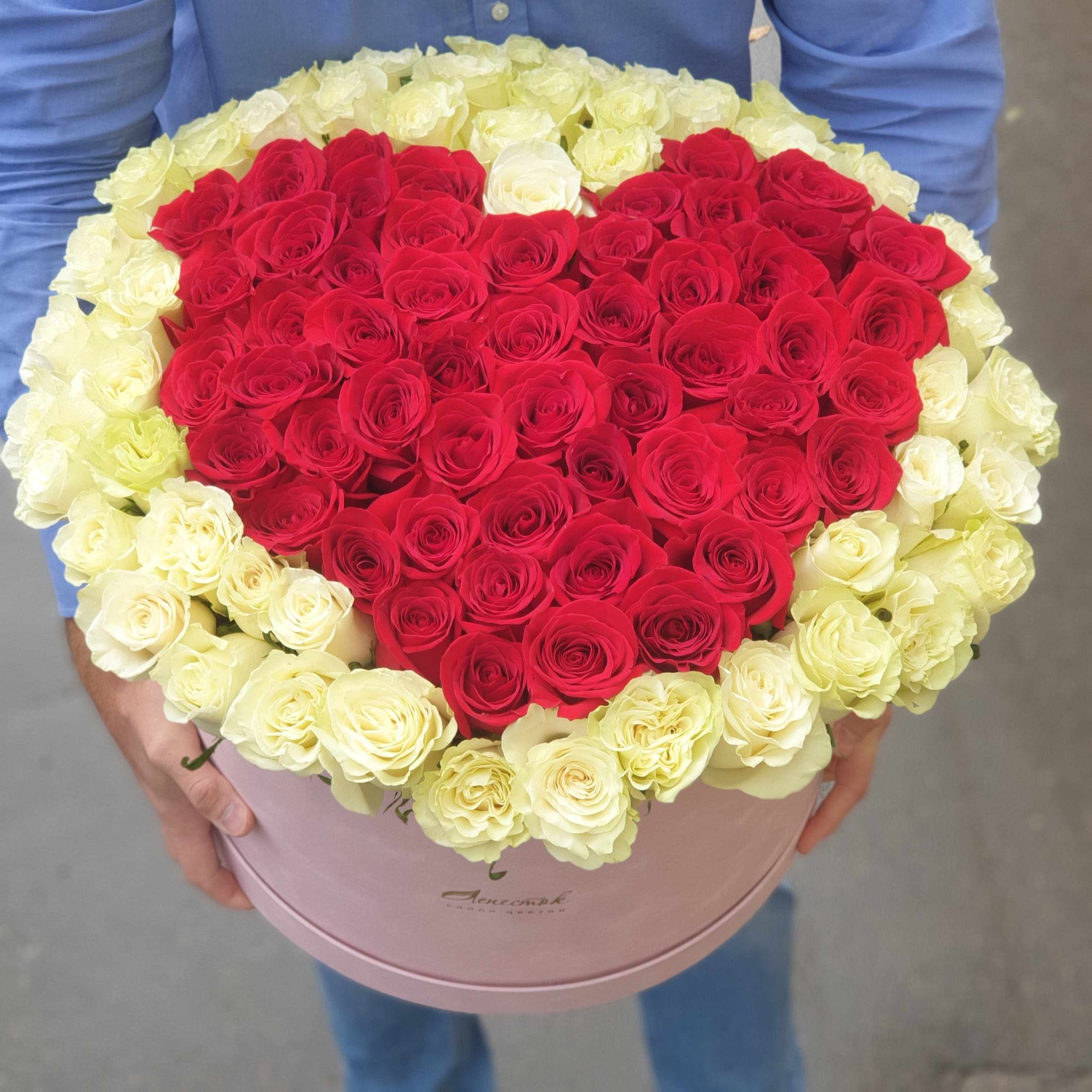 4f4950ac-4f2b-4434-8129-5c2fe8852f8f